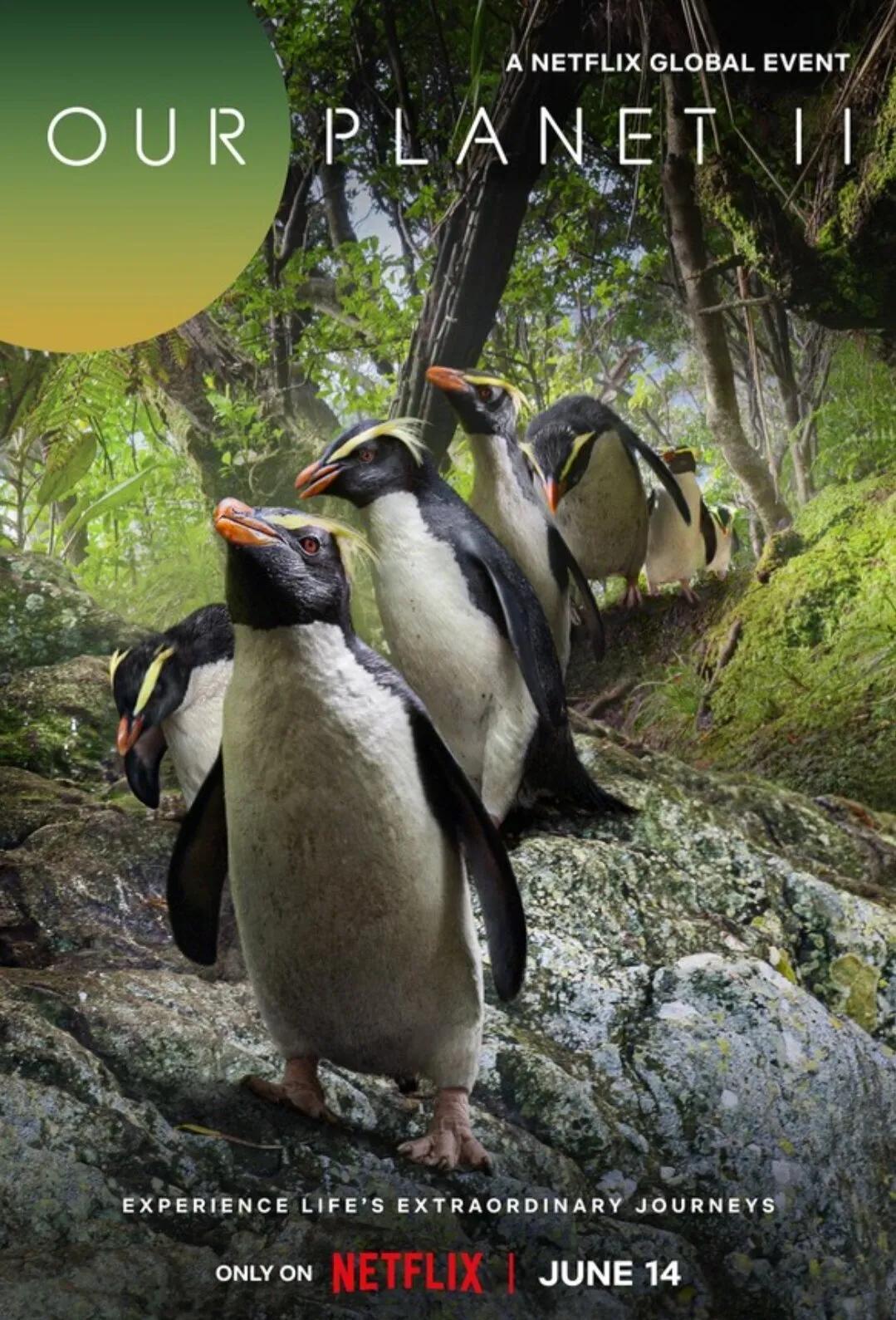 Our Planet II poster